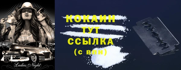 прущие грибы Богданович