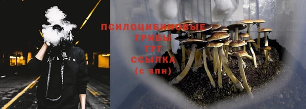 прущие грибы Богданович