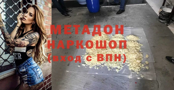 прущие грибы Богданович