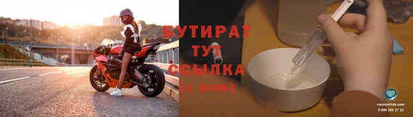 прущие грибы Богданович