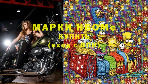 прущие грибы Богданович
