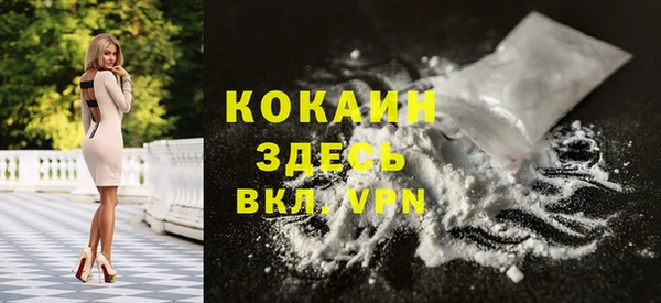 PSILOCYBIN Белокуриха