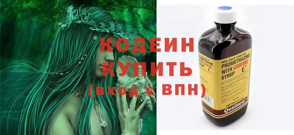 прущие грибы Богданович