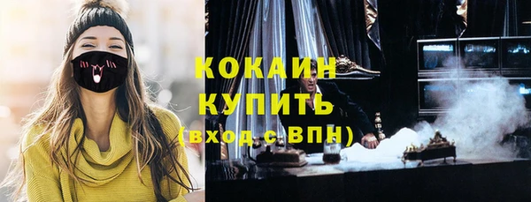 прущие грибы Богданович