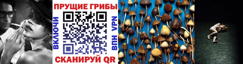 Псилоцибиновые грибы мицелий  как найти закладки  Онега 